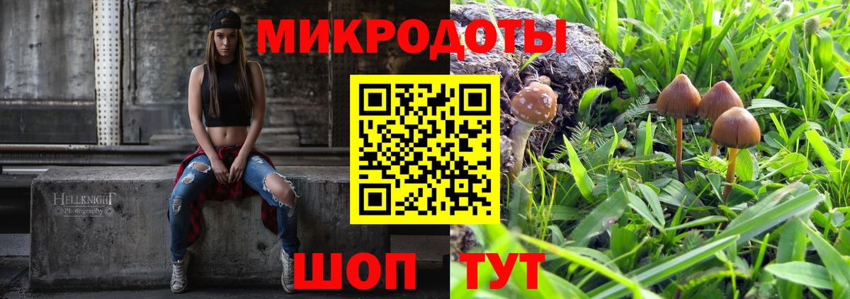 Галлюциногенные грибы Psilocybine cubensis Владивосток