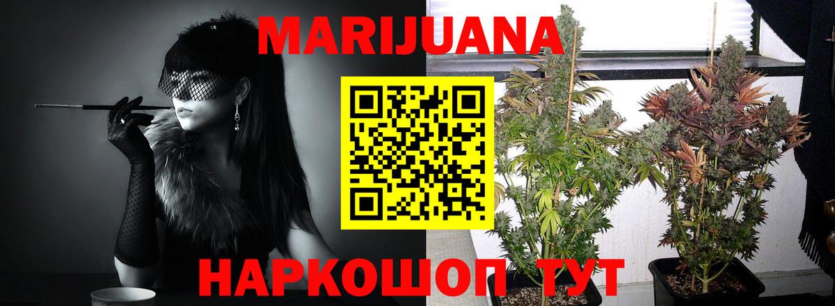 Шишки марихуана White Widow  Вход с VPN  Шишки марихуана White Widow  Бошки марихуана White Widow  Владивосток  Шишки марихуана SATIVA & INDICA 